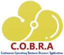 COBRA AI Systems Logo